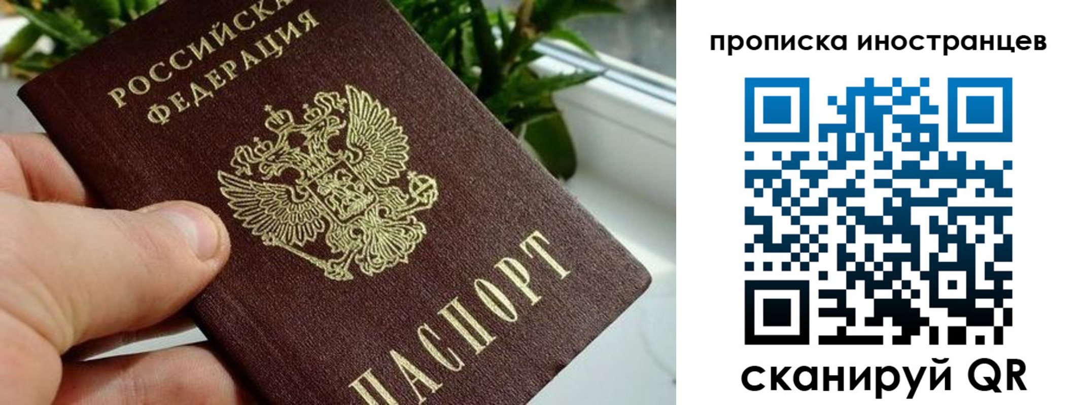 временная регистрация в Межгорье